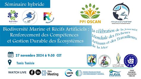 Biodiversité Marine et Récifs Artificiels : Renforcement des ...