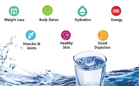 Wellon 20 LPH Household Antioxidant Alkaline Anti-bacterial Anti-ageing ...
