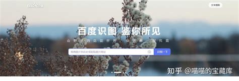 搜图 的图像结果