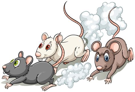 Três ratos - Download Vetores Gratis, Desenhos de Vetor, Modelos e Clipart