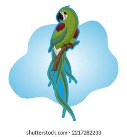 Image result for Simple Hand Drawn Parrot