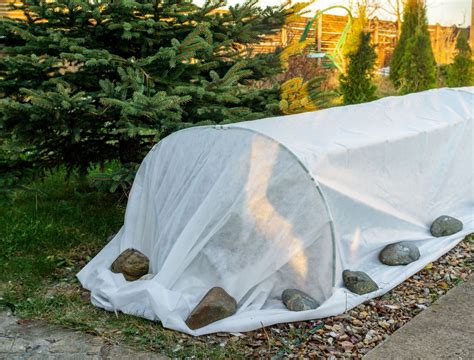 Frost Protection 101: 8 Steps for Safeguarding Your Fall Vegetables