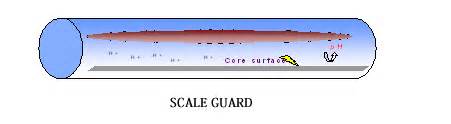 Scaleguard