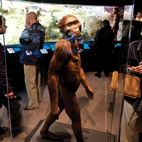 Image result for First Humans On Earth