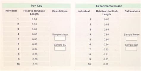 Image result for How to Calculate Sample SD