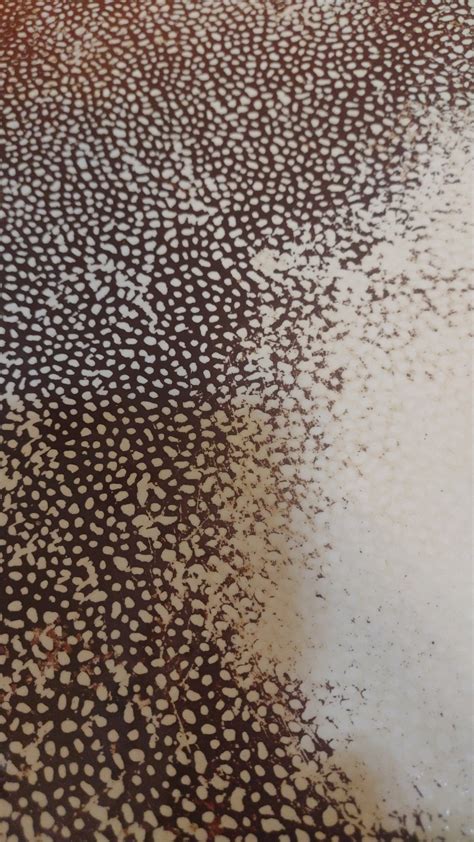 Any advice for heavy rust buildup on a textured shower floor? : r ...