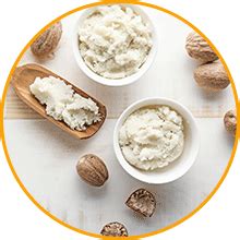 Buy Body Cupid Aqua Wave Shower Gel with Shea butter, Argan Oil and ...