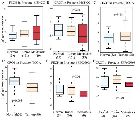 Single Cell Gene Co-Expression Network Reveals FECH/CROT Signature as a ...