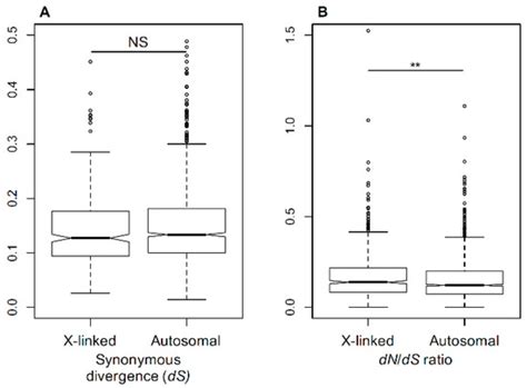 A Comparison of Selective Pressures in Plant X-Linked and Autosomal Genes