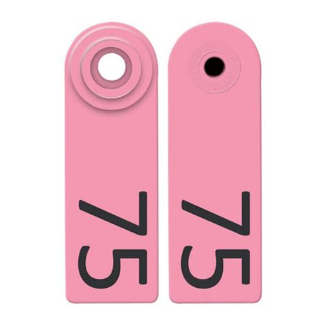 Buy Allflex Global Sheep & Goat Numbered Tags 51-75 Pink 1 Count by ...