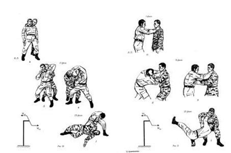 Systema 的图像结果