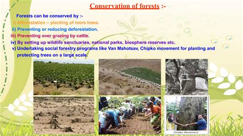 Management of Natural Resources 的图像结果