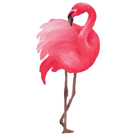 Pink flamingo Tropical Clip art Element Transparent Background 24628561 PNG