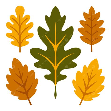 Set Of Autumn Leaves, Autumn, Leaves, Autumn Leaves PNG Transparent ...