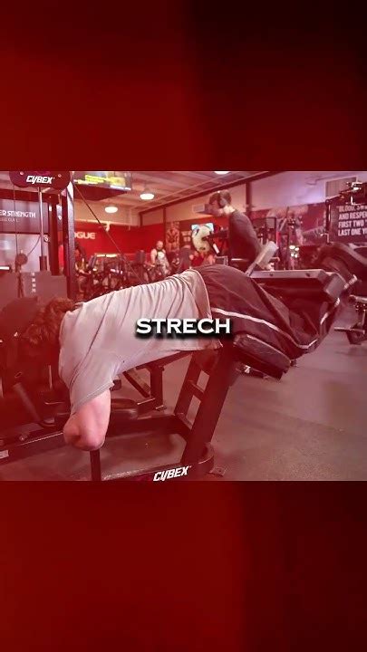 Sam Sulek Gym 的图像结果