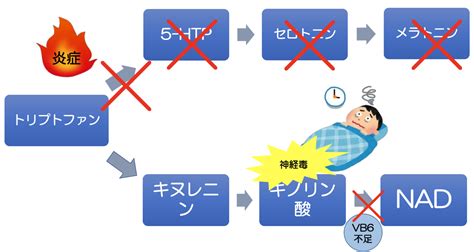 Image result for Secure Hash Algorithm Hint Image