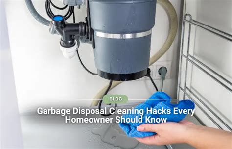 Image result for Garbage Disposal Cleaning