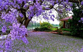 Image result for Spring HD Wallpaper 1920X1080