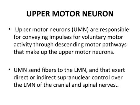Image result for Upper Motor Neuron Model