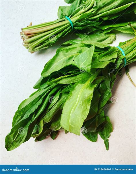 Sorrel, Green Leaves, Young Sorrel Plant, Edible Plants, Vegetables ...