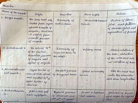 detailed notes of Muscle and joints - Muscle Name of the rroscle 0vigin ...