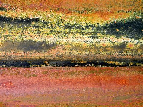 Image result for Rust Brothers Cast