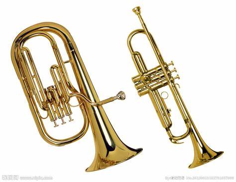 西洋乐器哪个属于铜管乐器