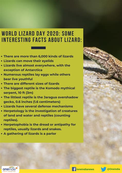 World Lizard Day 2020: Interesting facts about lizard - Oneindia News