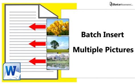 Batch Insert Image in Word 的图像结果
