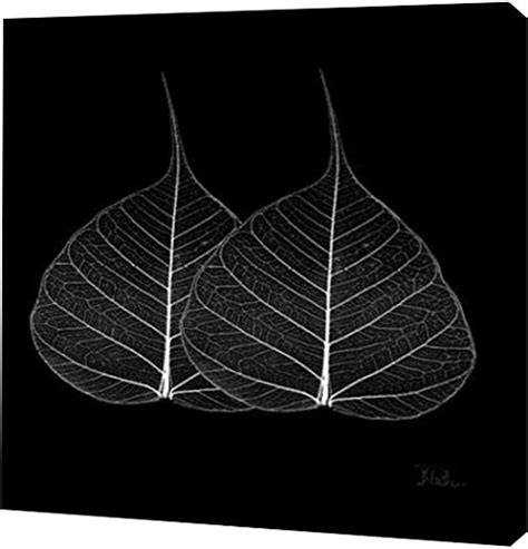 Buy PrintArt GW-POD-34-6965-20x20 "Minimalism in Black II" by Patricia ...