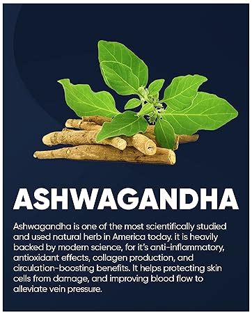 PENIKOSETE Cream Ayurvedic Solution For Management Of Varicose Veins ...