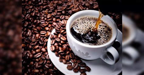 Barista Coffee introduces nine new stores across India in August, ET ...