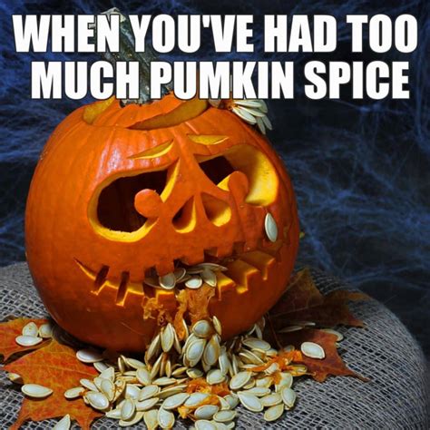 Enjoy Fall With These 12 Funny Pumpkin Spice Memes