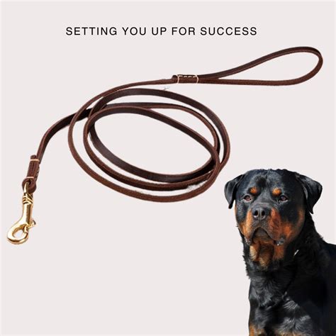 Vama Luxury Leather Show Leash – Vama Leathers