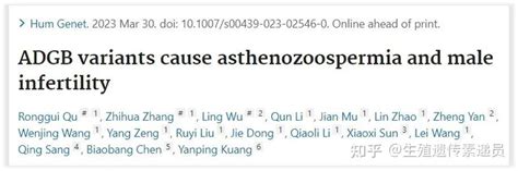 Autoadrogynephilia 的图像结果