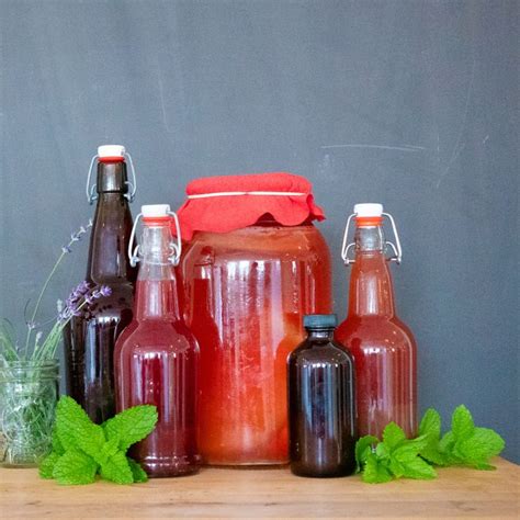 Brands & Cafes Serving Kombucha in Mumbai | LBB, Mumbai