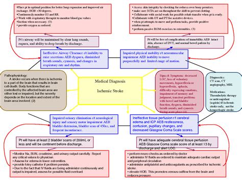 Nursing Concept Map Examples
