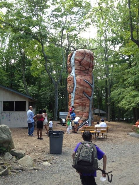 Prospect CT Map 的图像结果