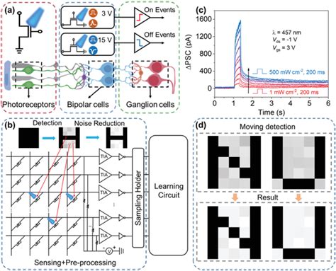 Image result for Visual Array