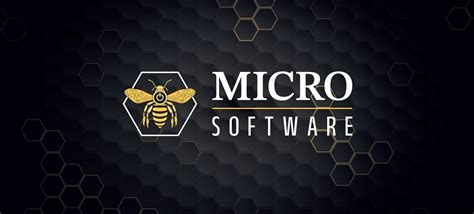 Micro Software 的图像结果