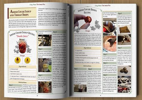 The Amish Ways Book Review