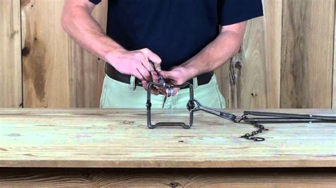 Body Grip Trap Modifications 的图像结果