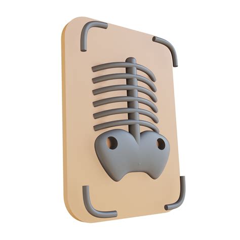 3D illustration x ray suitable for medical 10842362 PNG