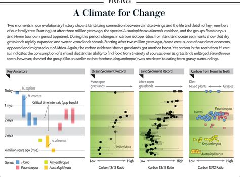 New Evidence Shows How Climate Shaped Human Evolution | Scientific American