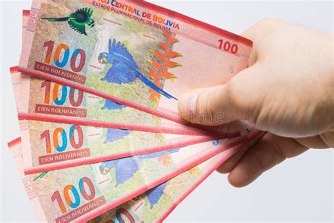 玻利维亚货币. 手中握有的大笔钱 库存图片. 图片 包括有 亚马逊, 横幅提供资金的, 大胆的, 流星锤 - 206670771