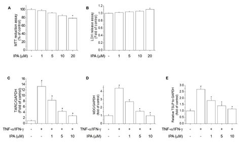 Impressic Acid Ameliorates Atopic Dermatitis-Like Skin Lesions by ...