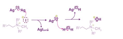 Hofmann Elimination Reaction: Mechanism, Examples & Applications | AESL