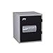 Godrej Security Solutions Forte Fire Resistant 20 LTR Locker with ...