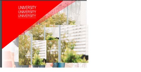 Image result for Adding Color Overlay On Image CSS