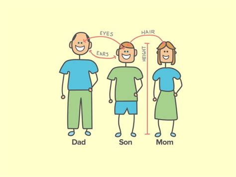Difference Between Genetics or Inheritance 的图像结果